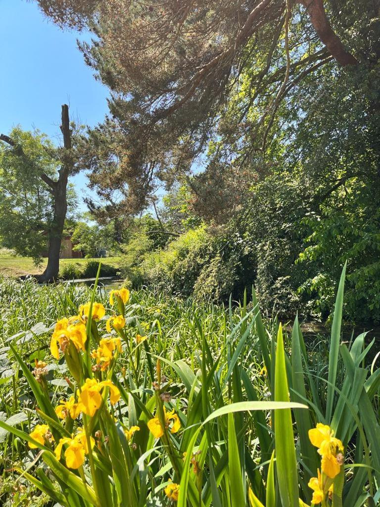 Вілла Mill Stream Retreat Legbourne Екстер'єр фото